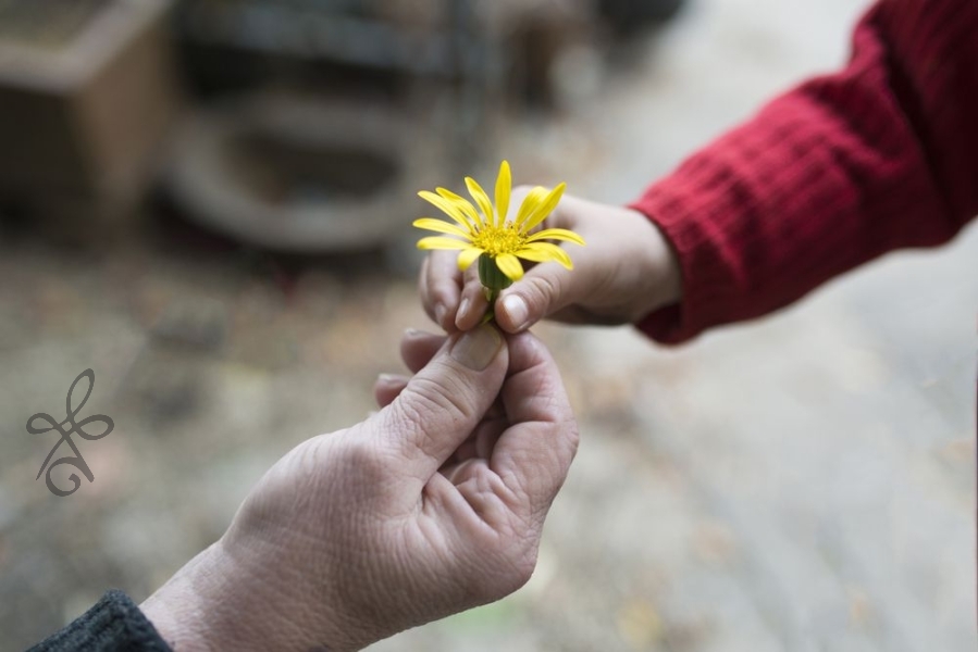 compassion