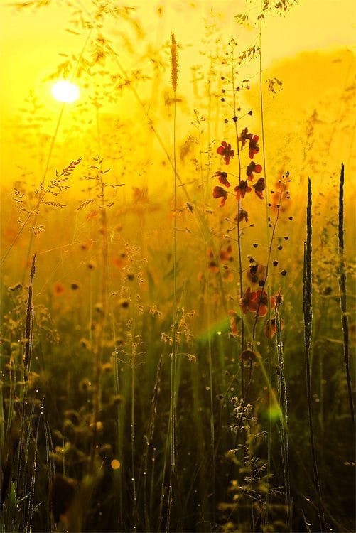 Exploring the Concept of Embodied Spirituality